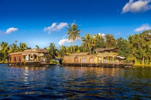 My 48-Hour Cheat Sheet for Alappuzha: My personal faves.