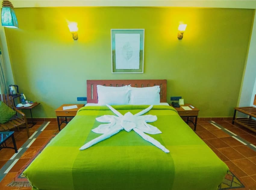 Forest Glade - Munnar - Image 4