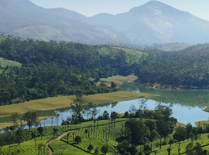 Find Hotels in Ooty