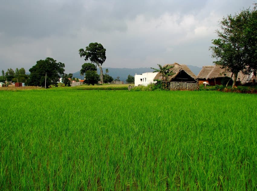 Find Hotels in Yelagiri
