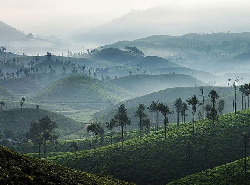 Find Hotels in Valparai