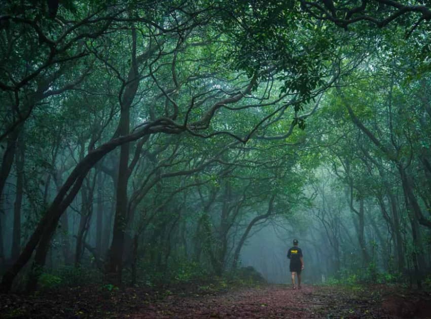 Find Hotels in Matheran