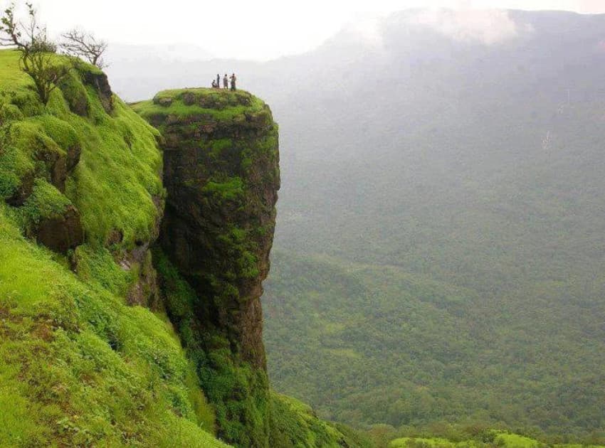 Find Hotels in Neliyampathy