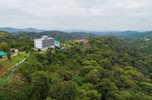 Top 10 Best Couple-Friendly Stays in Munnar for a Romantic Getaway